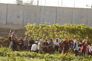 La mur de l'apartheid